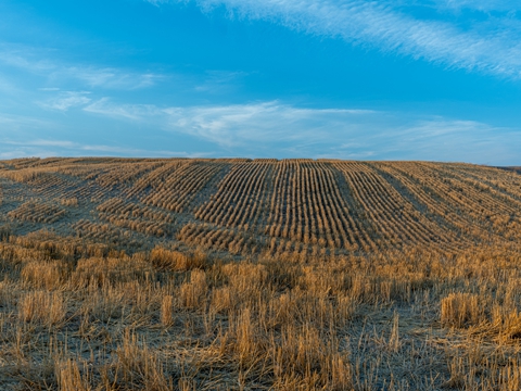 海南公司注冊專業辦理,全程合規保障 海南公司注冊專業辦理,全程合規保障