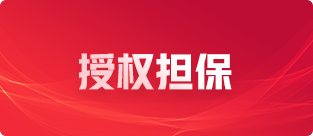 國(guó)際專利服務(wù)二